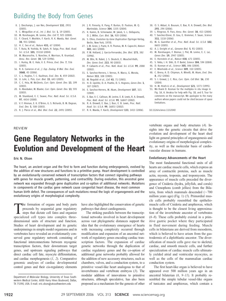 Gene Regulatory Networks in The Evolution and Development of The Heart ...