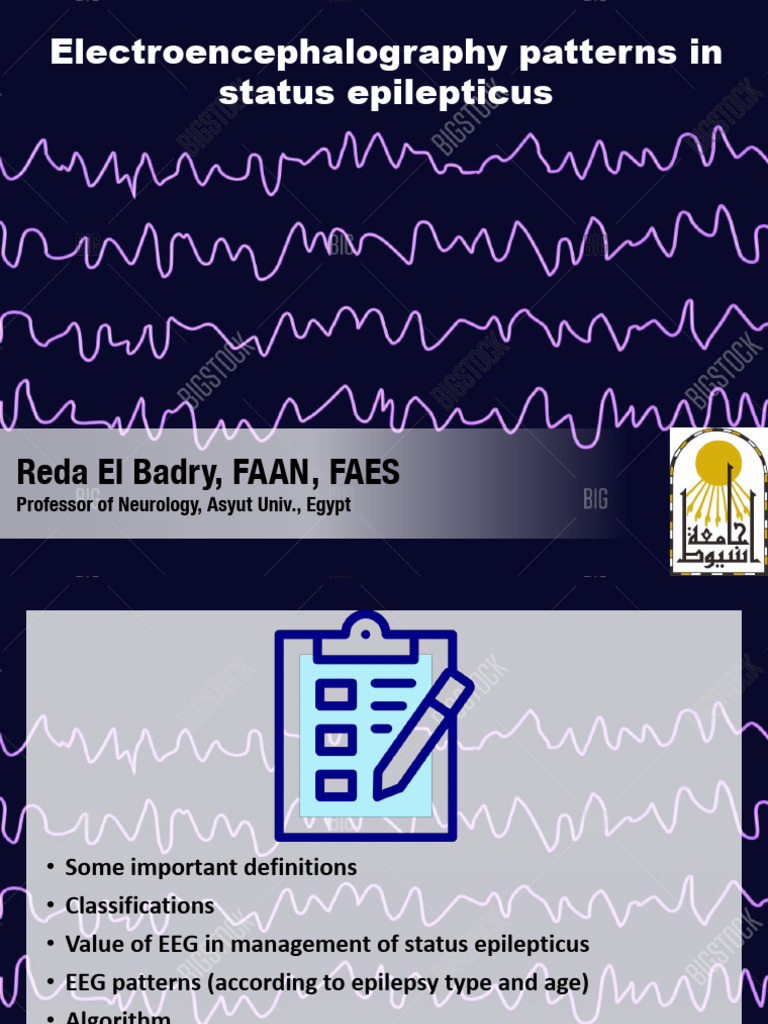 FINAL EEG in Status Epilepticus 2 | PDF | Electroencephalography | Epilepsy
