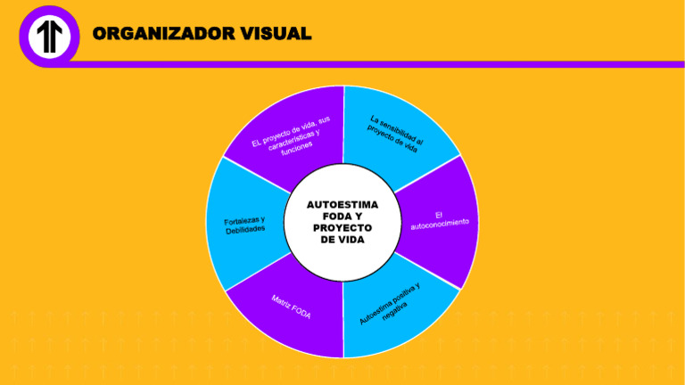 Sesion - 01 - Organizador Visual | PDF
