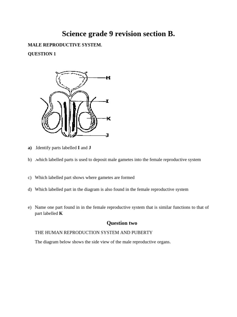 Science Grade 9 Revision Section B | PDF | Blood Vessel | Atmosphere Of ...