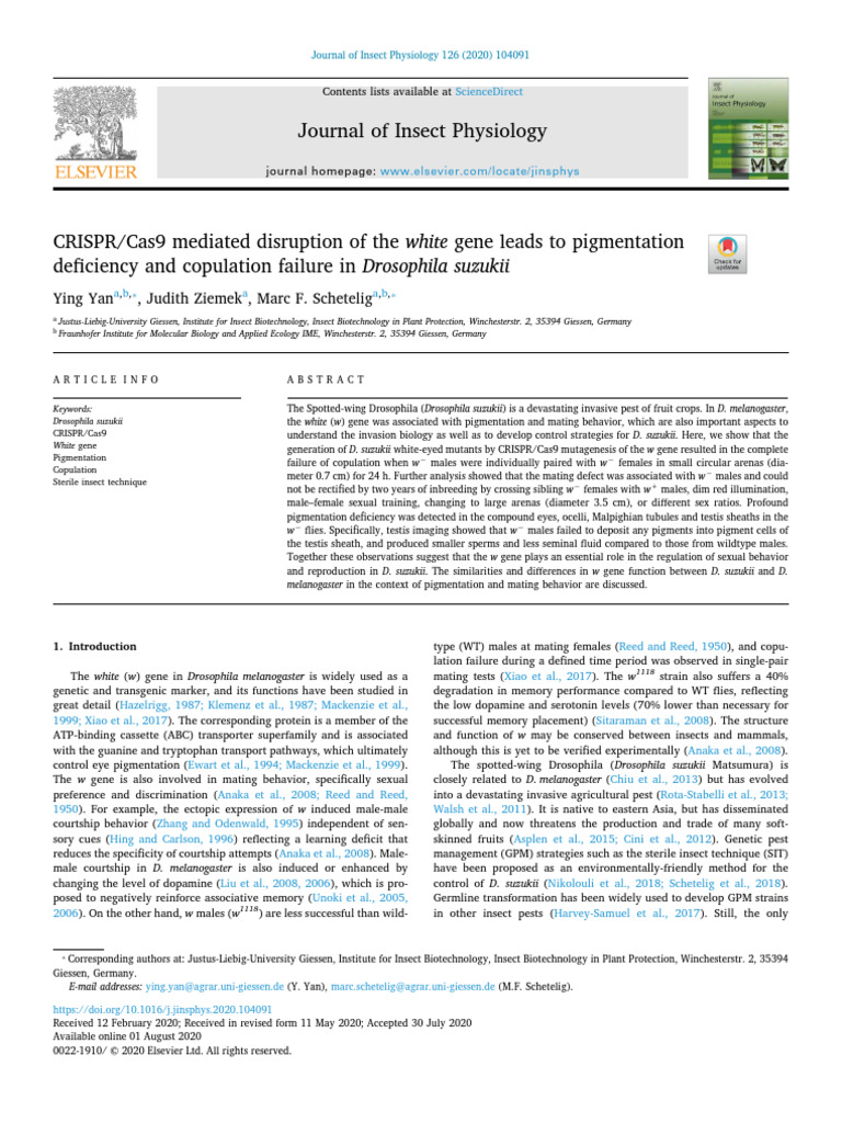 CRISPR Disruption of White Gene in Drosophila | PDF | Drosophila ...