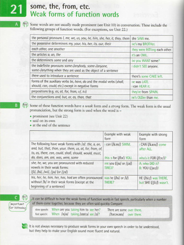 Weak Forms Ex | PDF
