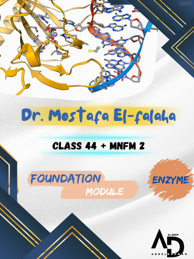 Understanding Enzymes: Types & Functions | PDF | Enzyme | Active Site