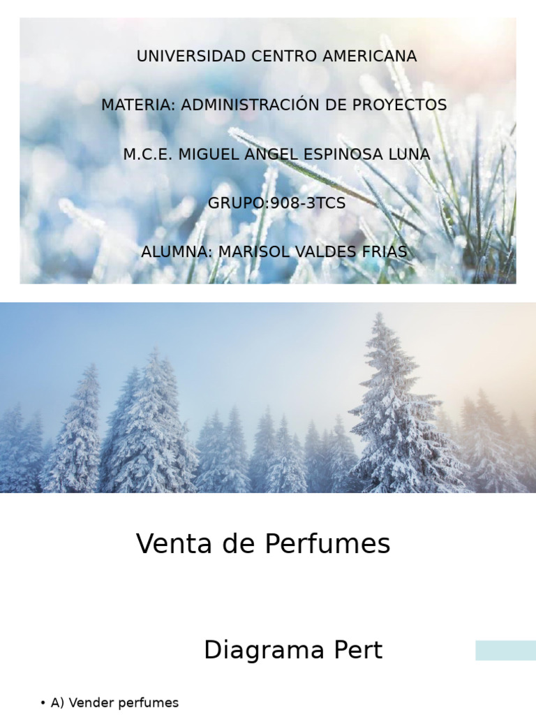 Estrategias de Venta de Perfumes | PDF | Business