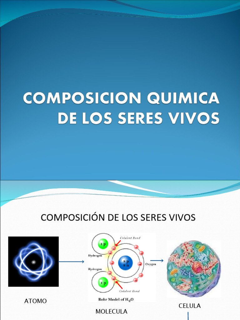 Composición y Estructura de los Seres Vivos | PDF | Propiedades del ...