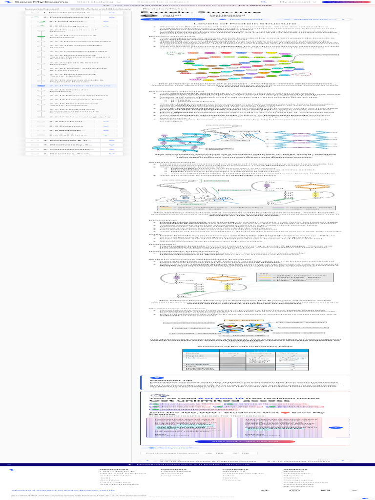 Understanding Protein Structure Levels | PDF | Proteins | Amino Acid