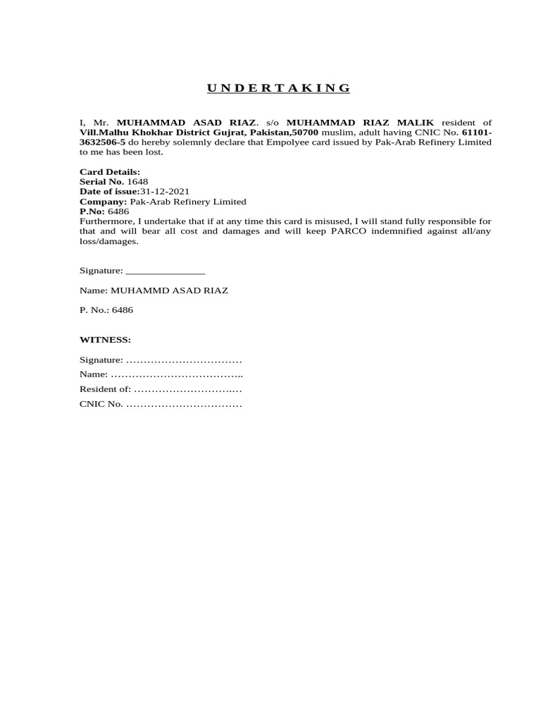 Affidavit or Undertaking | PDF