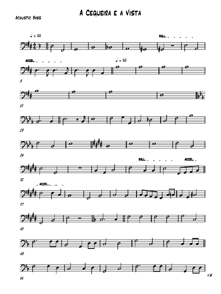 A Cegueira e A Vista Acoustic Bass | PDF
