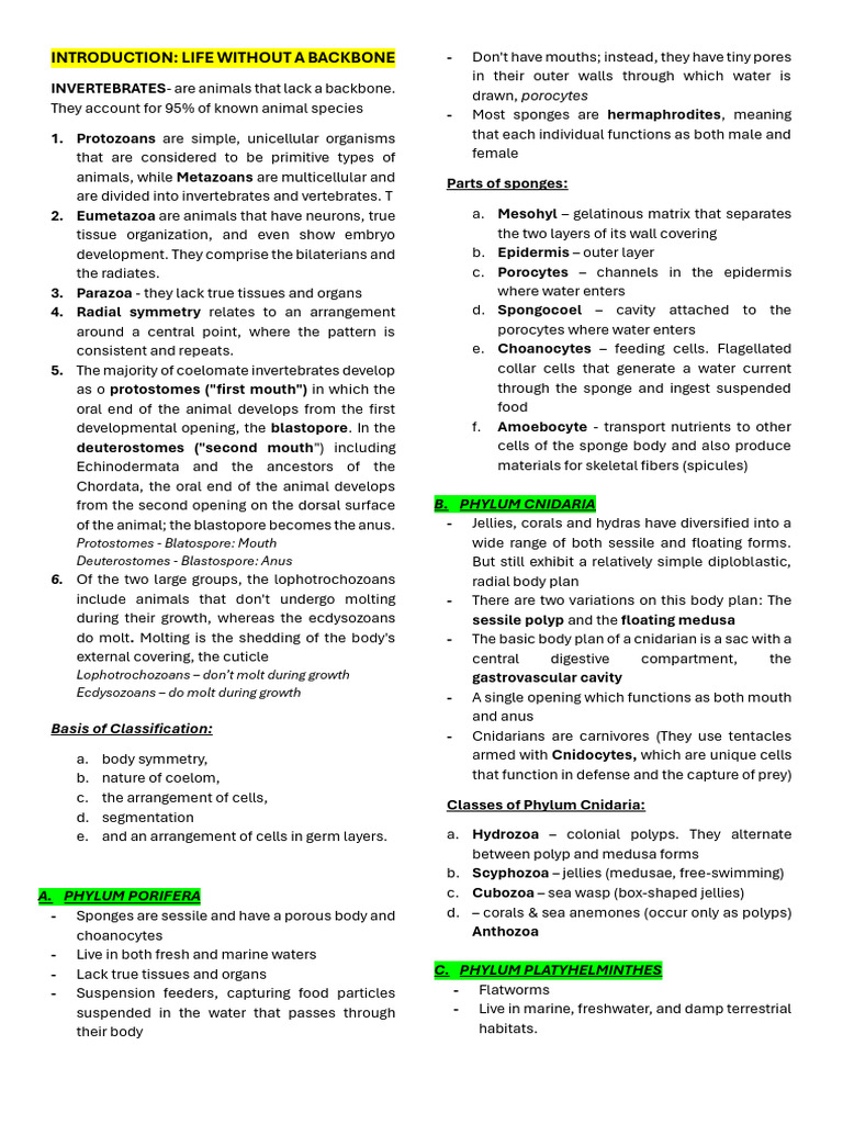 1st Lecture Summary - Introduction On Invertebrates | PDF | Mollusca ...