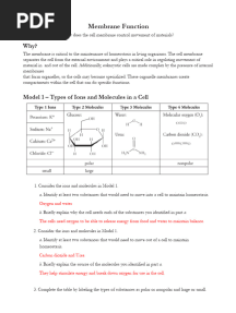 Membrane Function Pogil Key