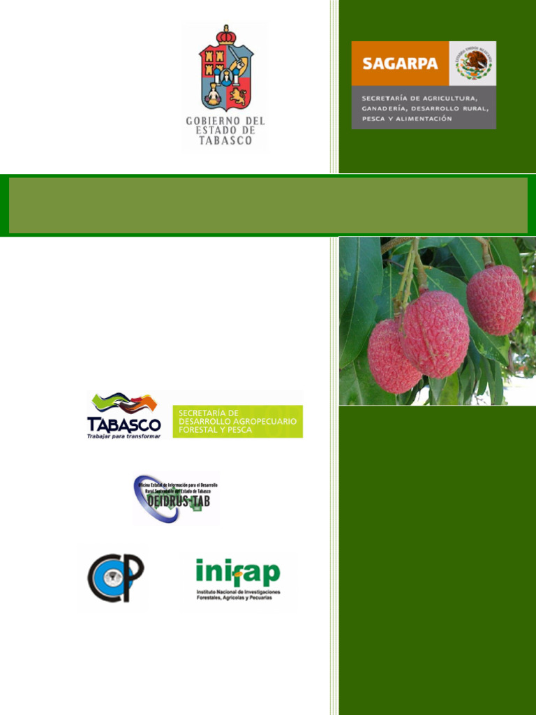 LITCHI | PDF | Arboles | Fertilizante