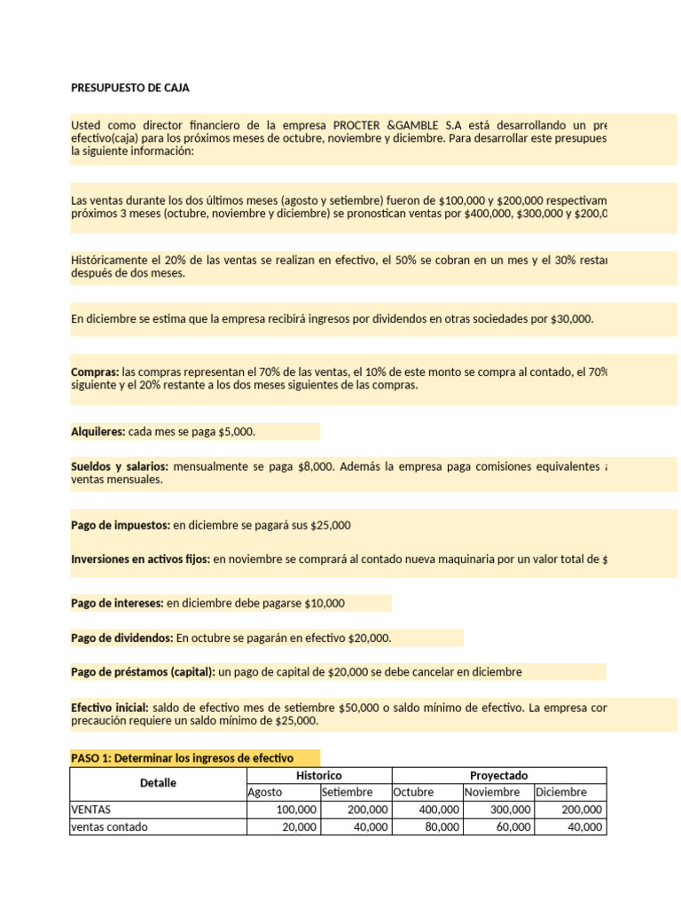 Ejercicio Ppto Flujo de Caja . | PDF | Presupuesto | Business