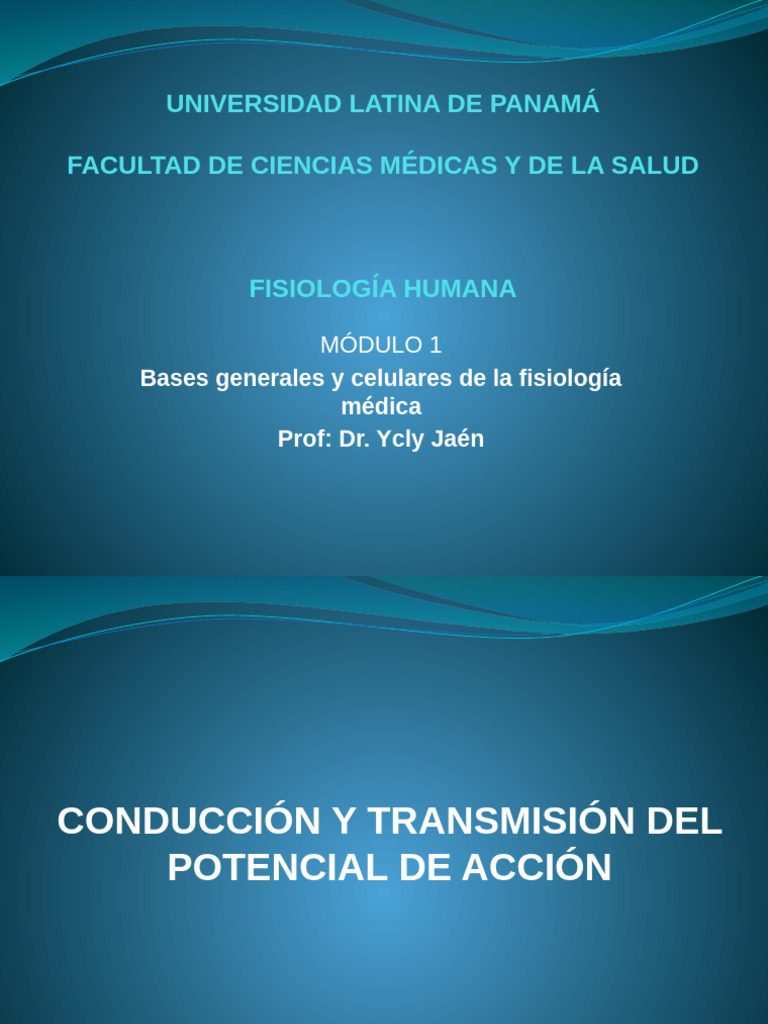 Modulo 1 Conduccion y Transmision | PDF | Sinapsis | Potencial de acción
