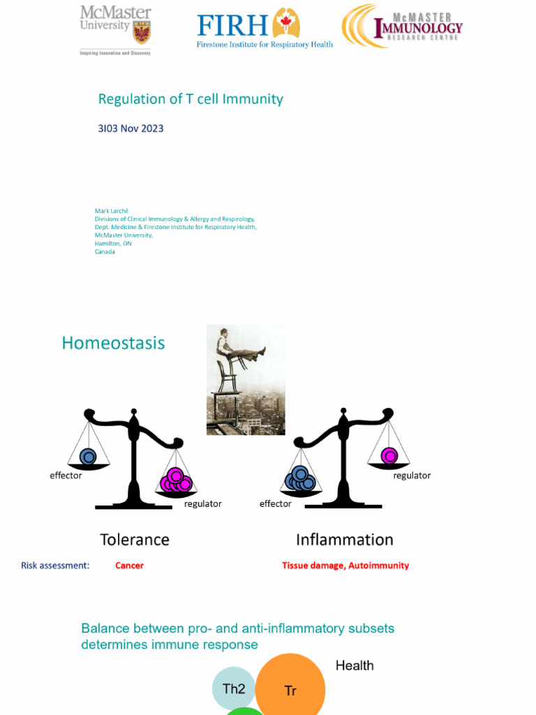 Lecture 17 - Regulation of T Cell Immunity-2 | PDF | T Cell | T Helper Cell