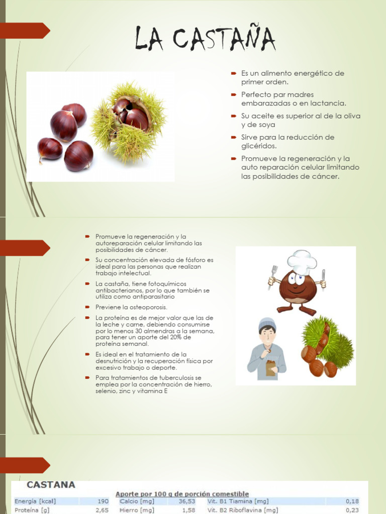 La Castaña 2 | PDF | Patata | Agricultura