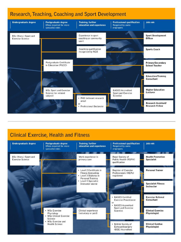 A Guide To Careers in Sport and Exercise Science Non Members801 | PDF