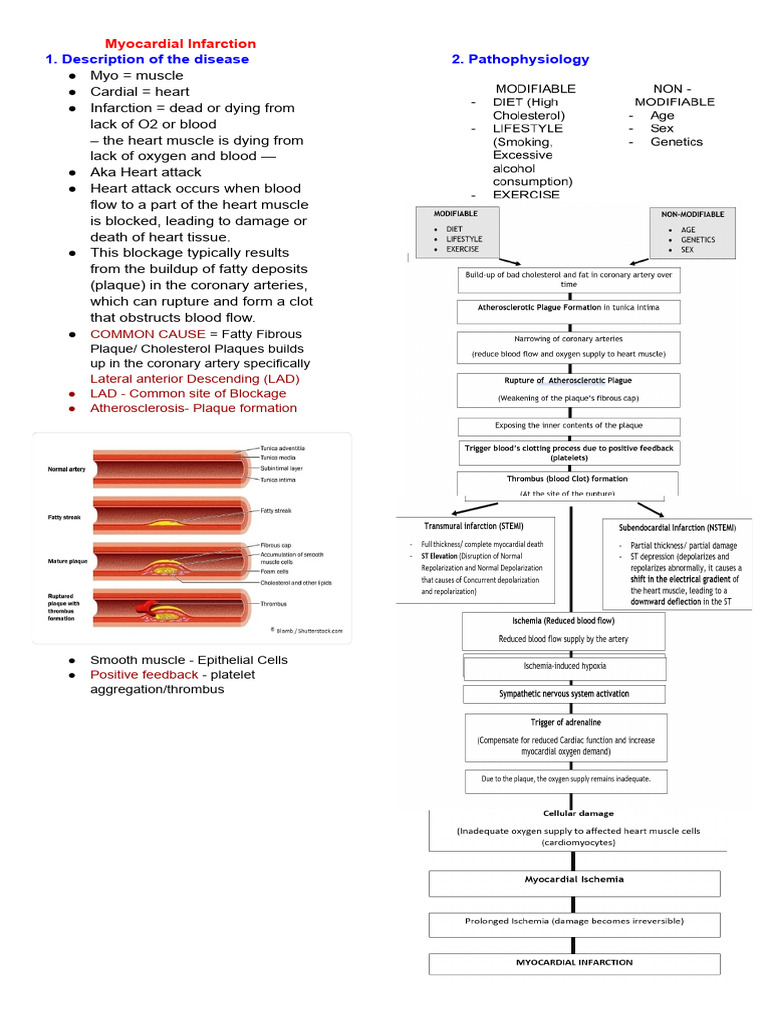 REVIEWER Myocardial Infarction | PDF | Myocardial Infarction | Heart
