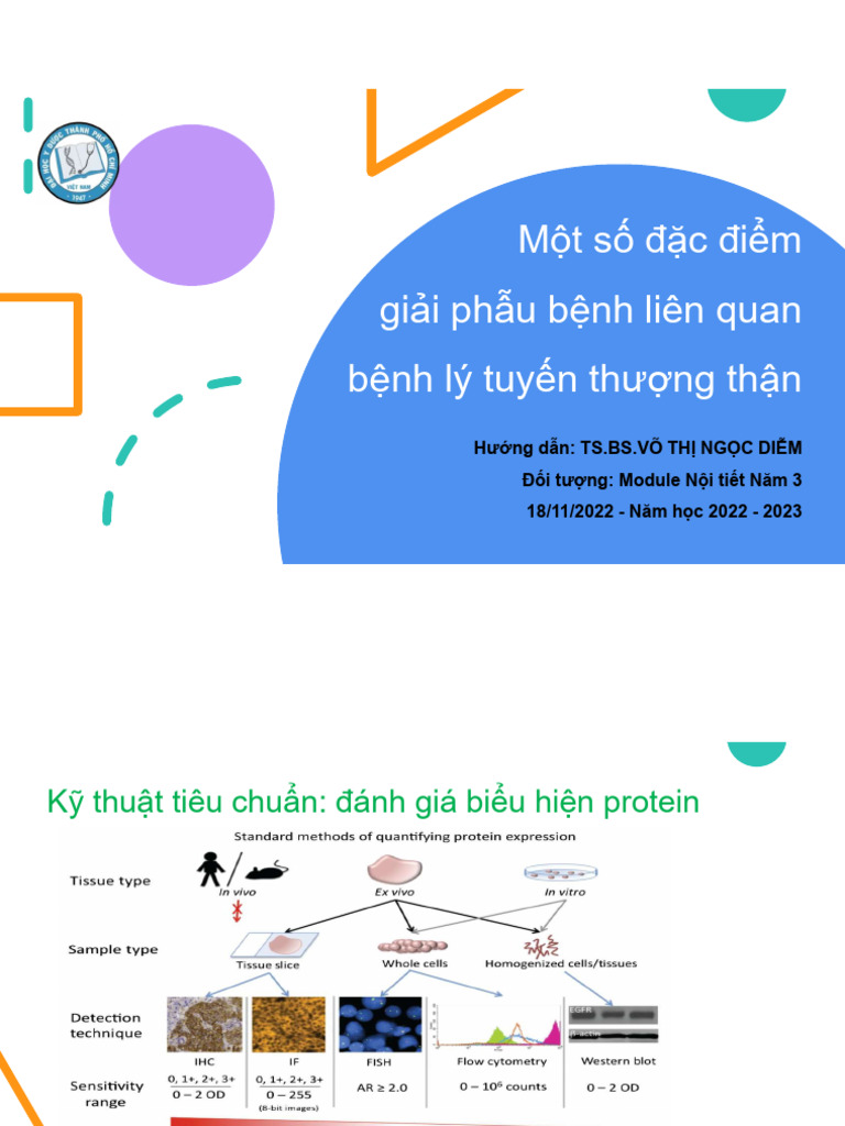 VI THỂ MỘT SỐ BỆNH LÝ THƯỢNG THẬN 2022 2023 | PDF