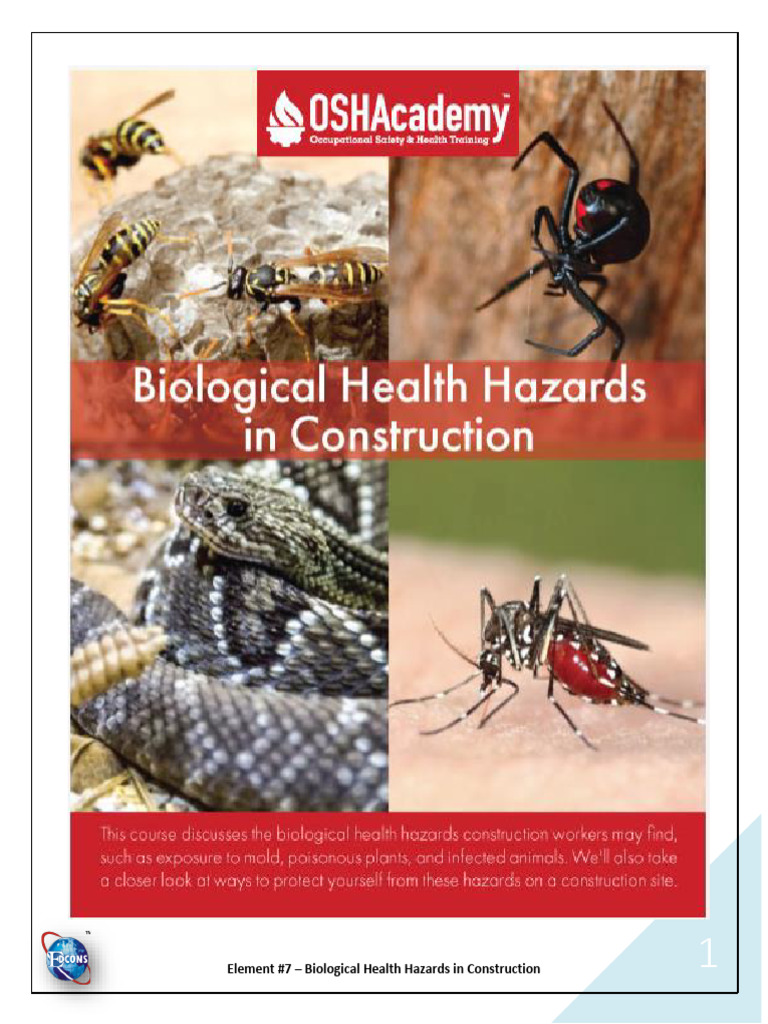 Biological Hazards in Construction Sites | PDF | Mold | Allergen