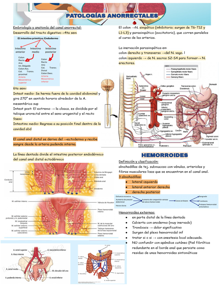 Resumen CX Ii Unidad Iii Tema Patologia Anorrectal | PDF | Hemorroides ...