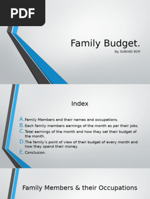 Family Budget