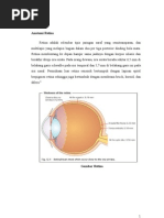 Download Oklusi Arteri Vena Retina by qyura SN79553211 doc pdf