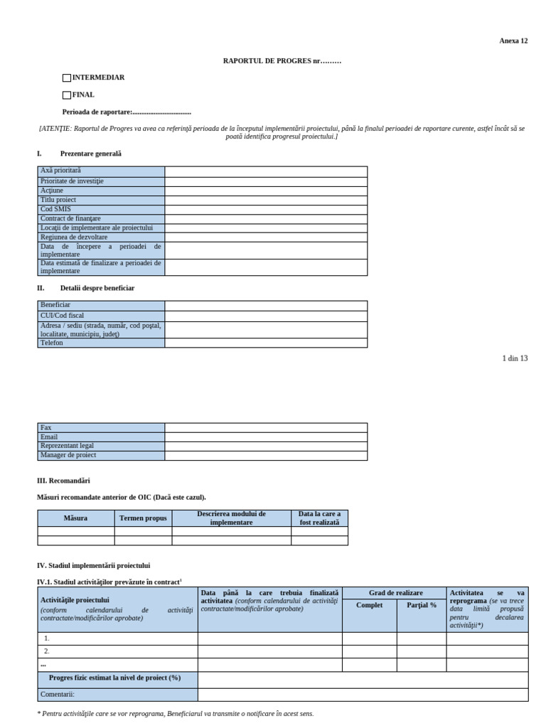 Model Formular - Raport de Progres | PDF