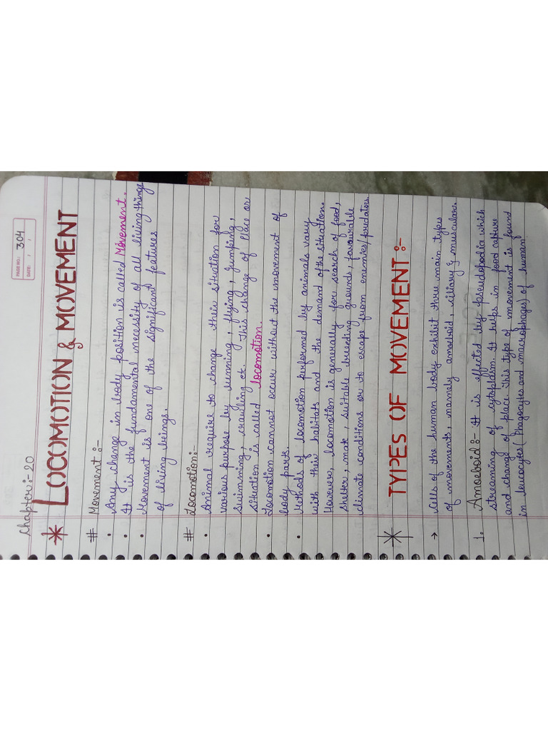 Locomotion Movement Pdf