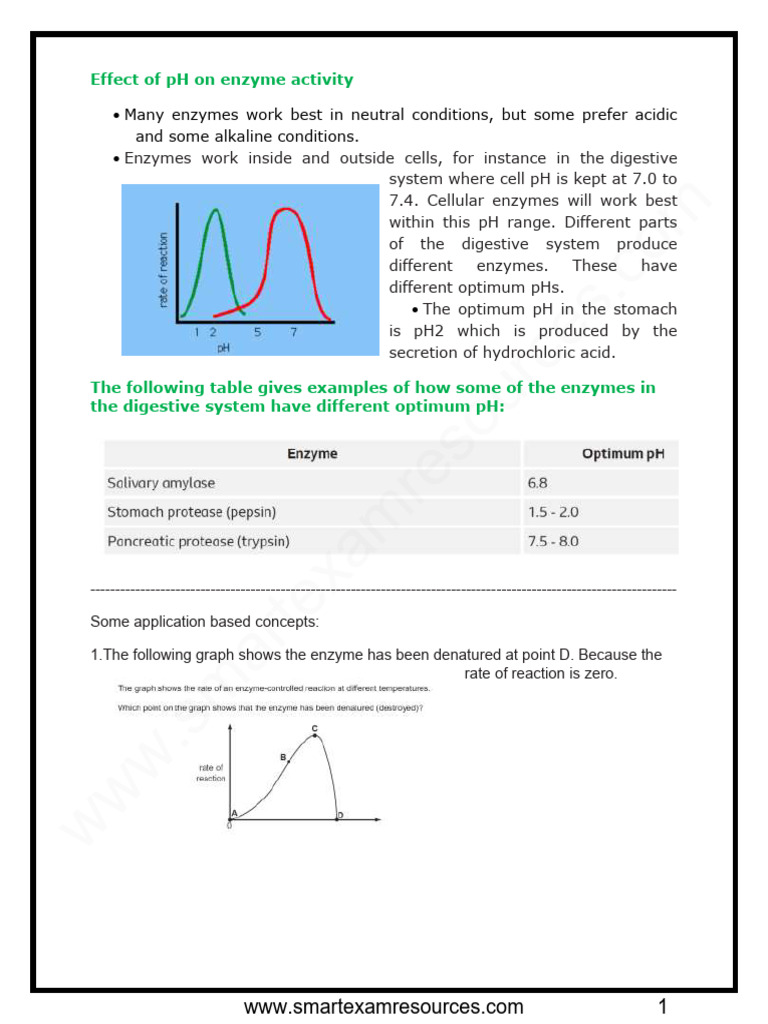 pH Effects on Enzyme Activity | PDF | Enzyme | Ph