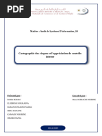 Cartographie des Risques : Guide Pratique | PDF | Risque | Audit