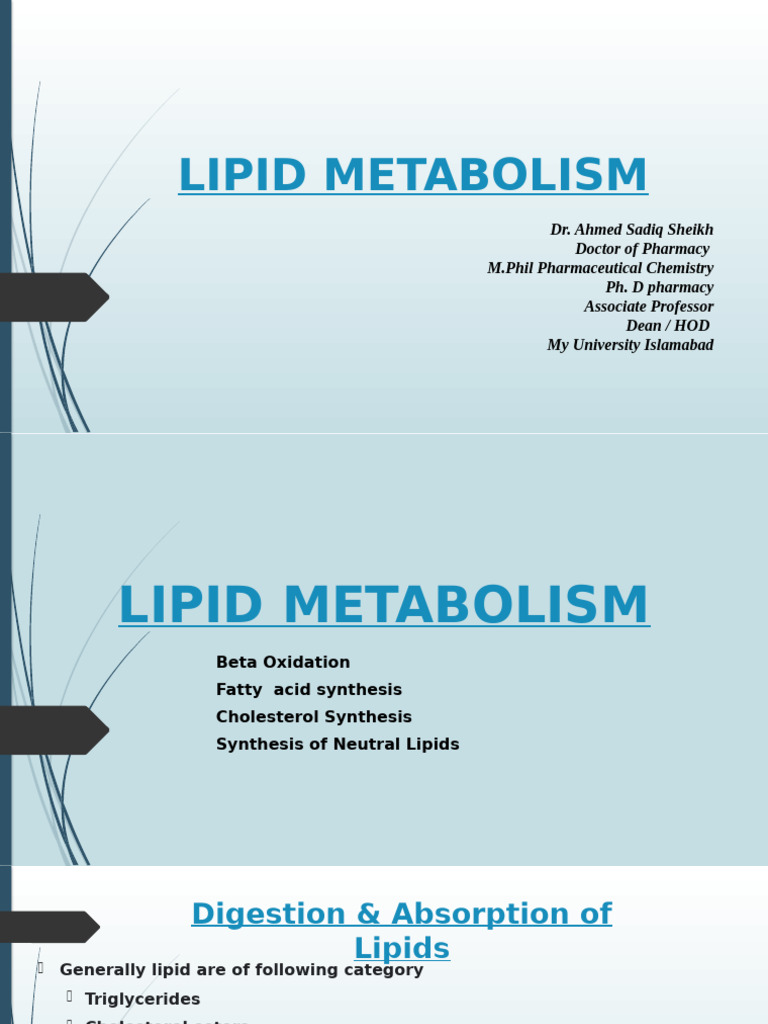 Understanding Lipid Metabolism Processes | PDF | Lipid | Fatty Acid