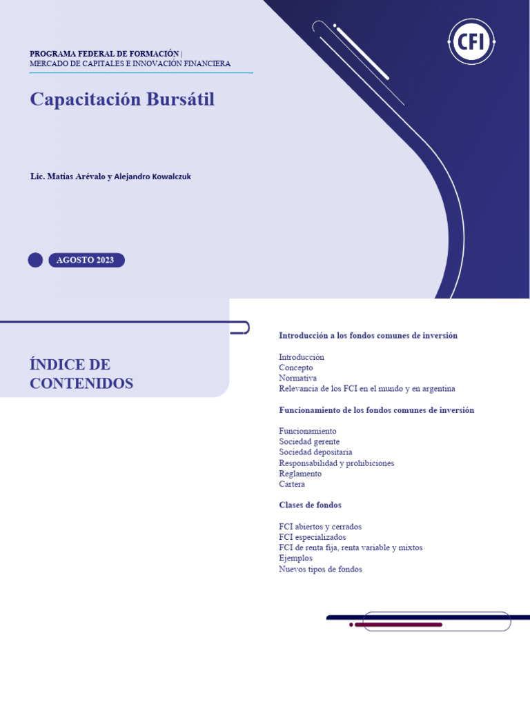 Introducción a Fondos Comunes de Inversión | PDF | Fondo de inversión ...