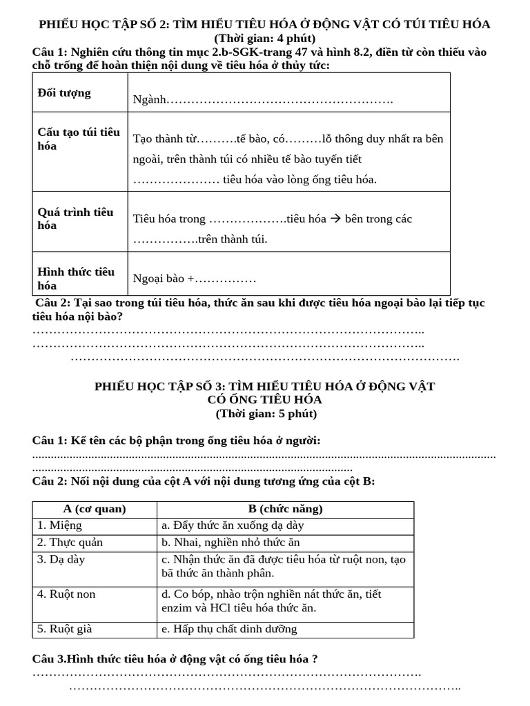 Noi Dung Hs Tim Hieu Bai 8 | PDF