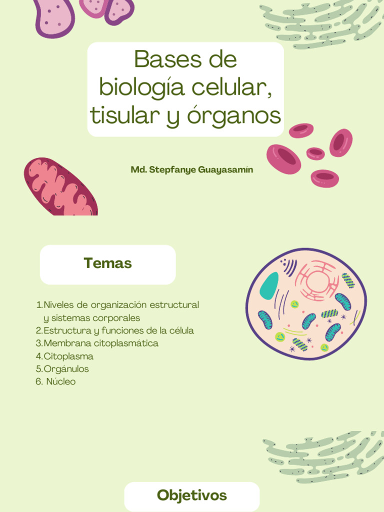 Estructura y Función Celular Básica | PDF | Citoplasma | Membrana celular