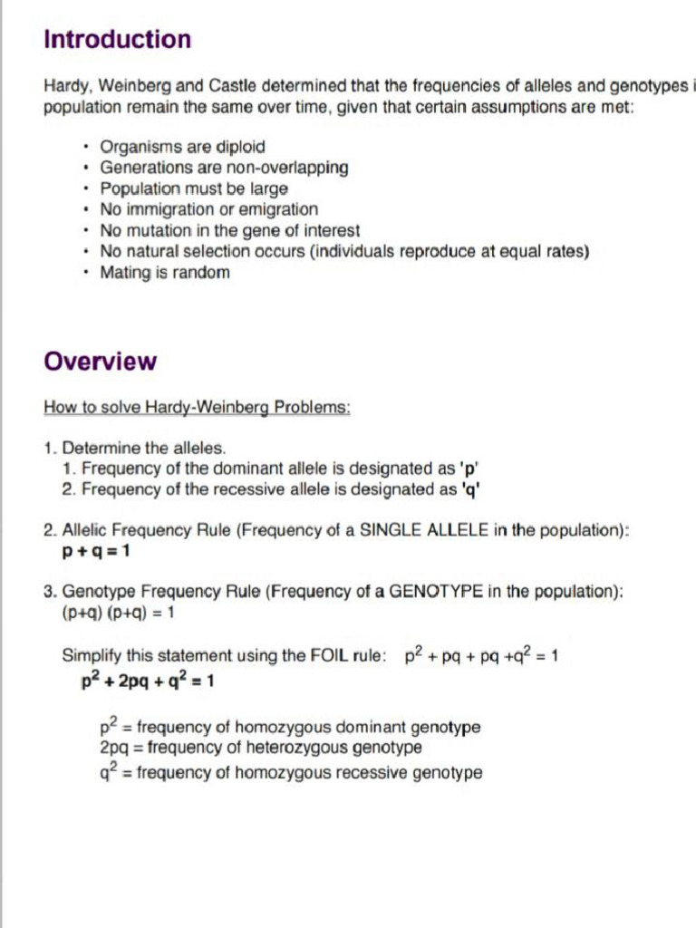 Hardy-Weinberg Equilibrium | PDF | Allele | Zygosity