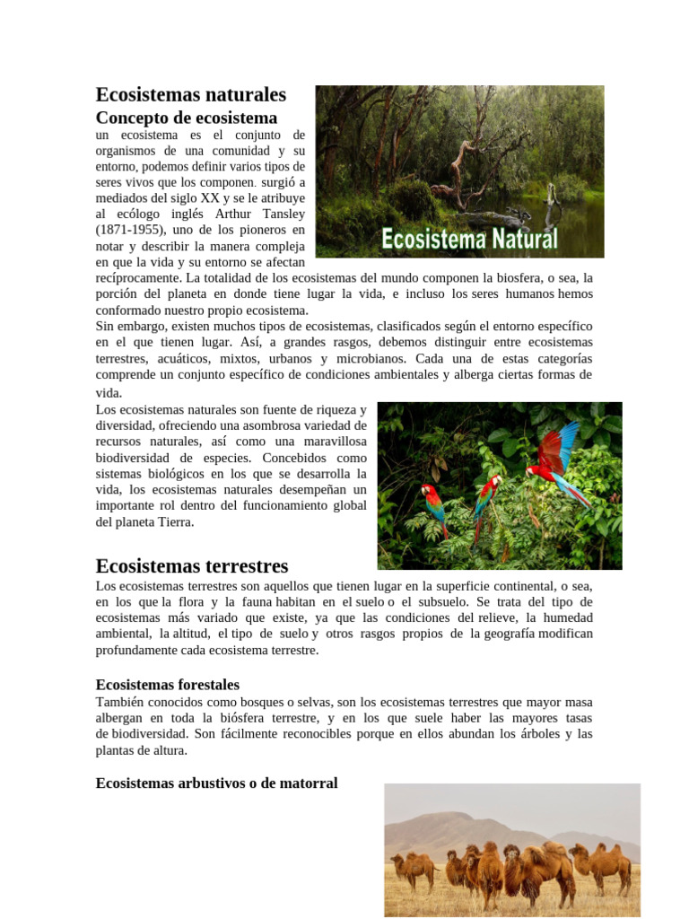 Tipos de ecosistemas naturales | PDF | Ecosistema | Pradera