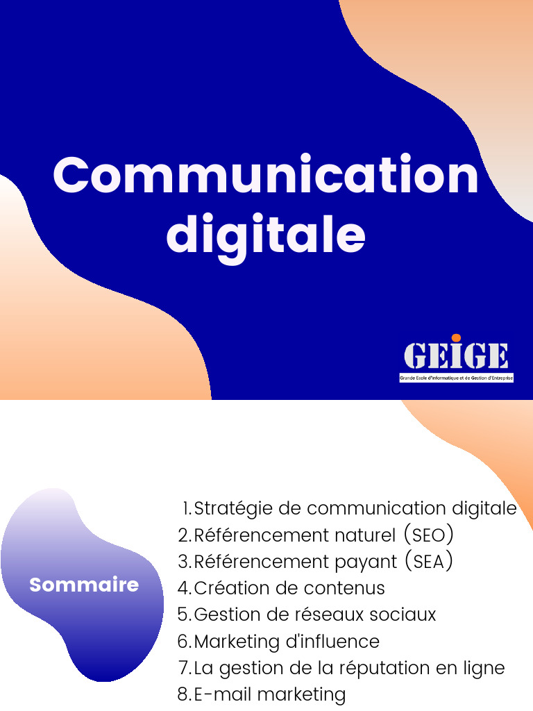Stratégie de Communication Digitale | PDF | Réseaux sociaux | Études ...