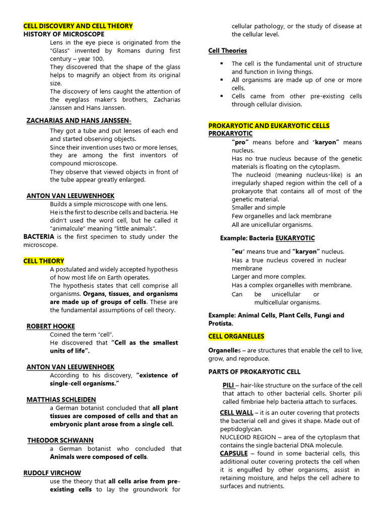 Stem 4 Reviewer (Edited) | PDF | Cell (Biology) | Endoplasmic Reticulum