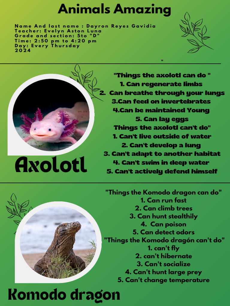 Axolotl vs. Komodo Dragon Facts | PDF | Science & Mathematics