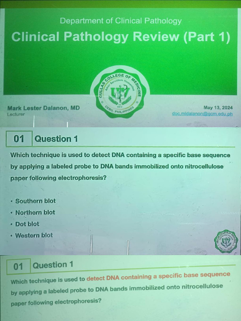 8 1 review part 1 pdf