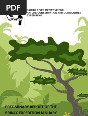 Brincc Prelim Report English Biodiversity Conservation Biology
