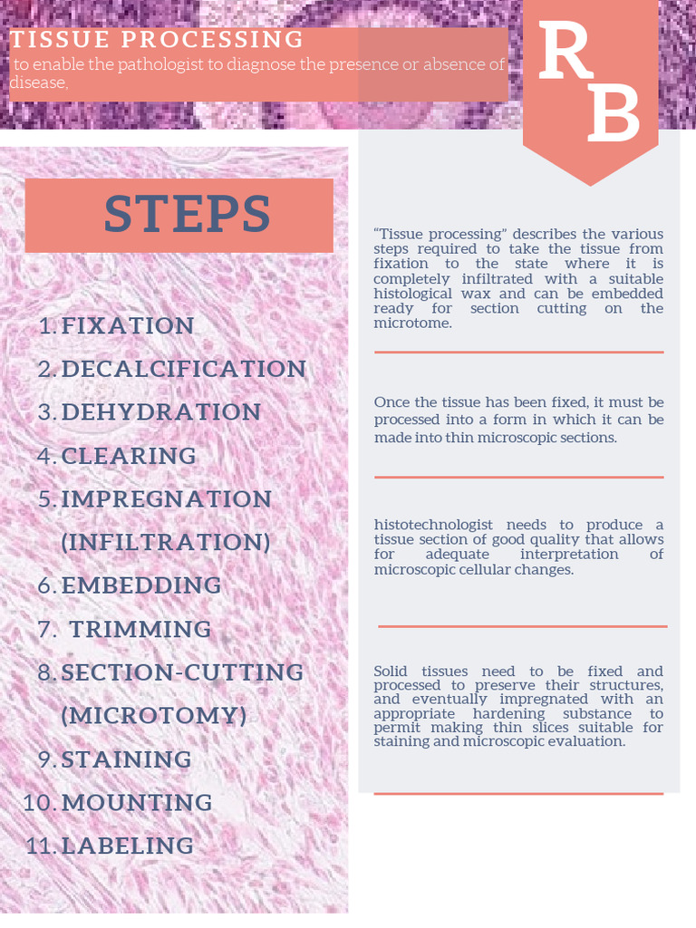 Tissue Processing Steps for Pathology | PDF