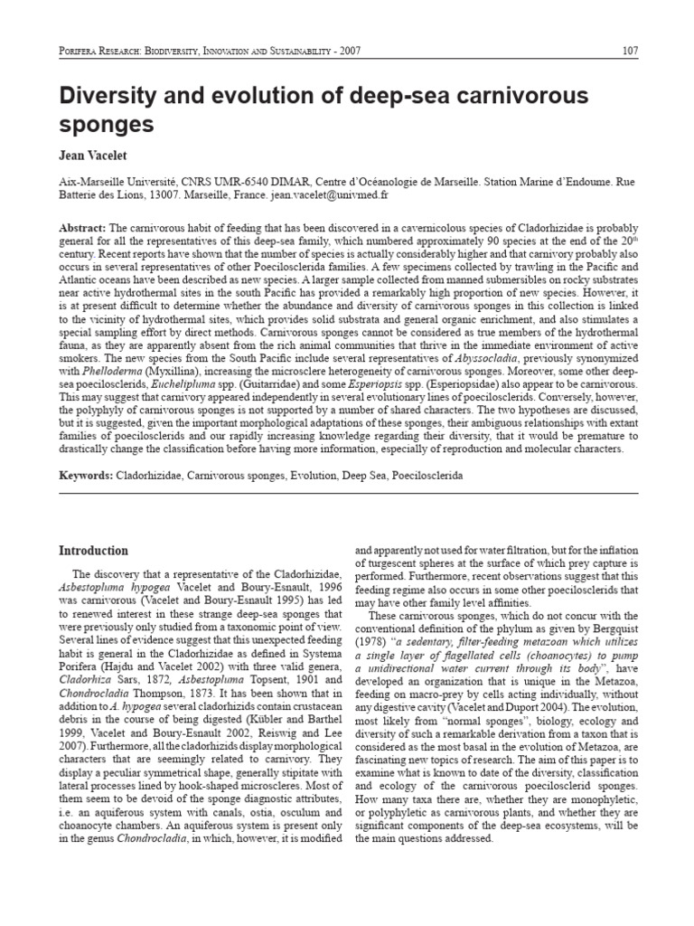 Deep-Sea Carnivorous Sponges Study | PDF | Sponge | Deep Sea