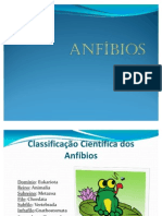 ANFÍBIOS