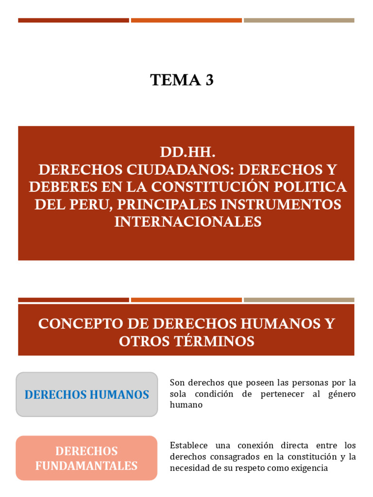 Derechos Humanos en la Constitución Peruana | PDF | Derechos humanos ...