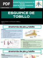 Proceso de Stieda y su tratamiento | PDF | Tobillo | Cirugía