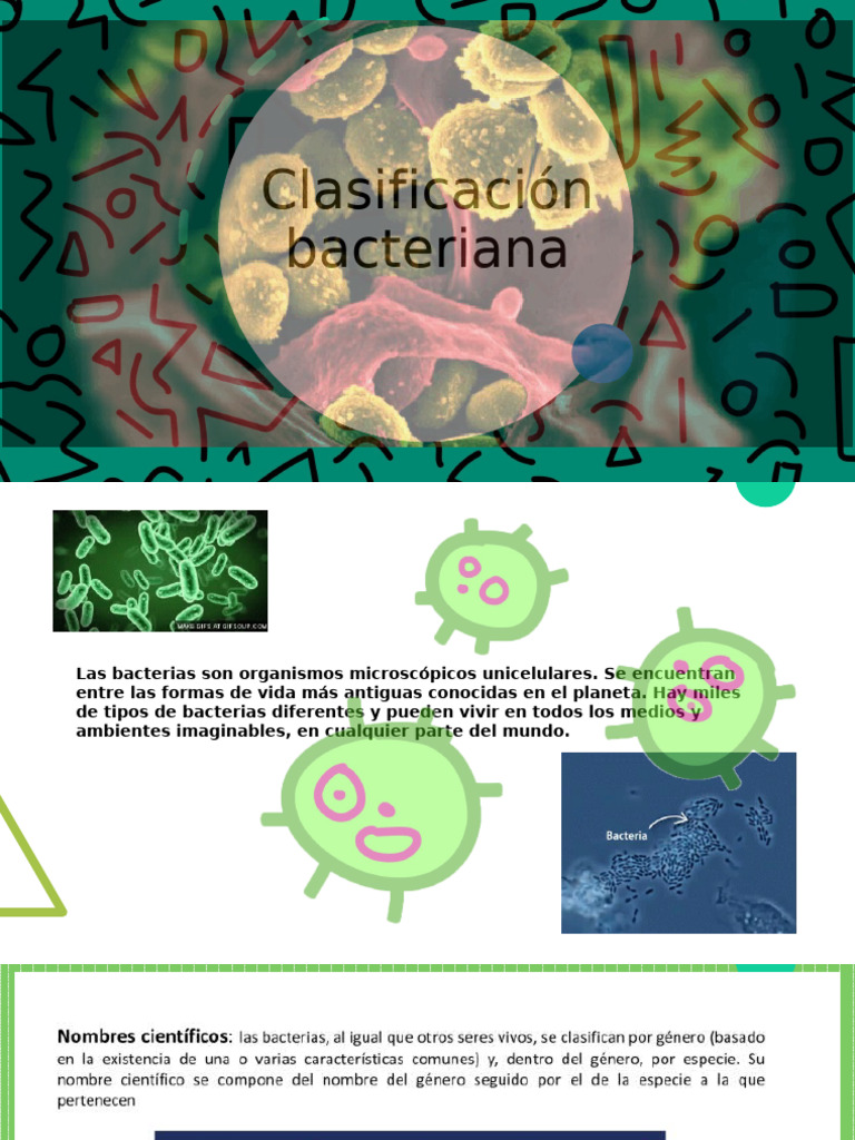 Clasificación y funciones de las bacterias | PDF | Salud y bienestar ...