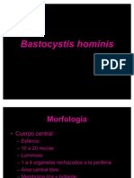 Bastocystis Hominis