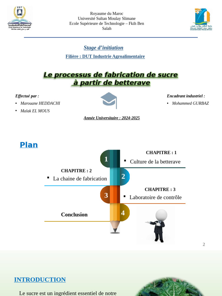 Cycle de la Betterave Sucrière au Maroc | PDF | Sucre | Régime et nutrition