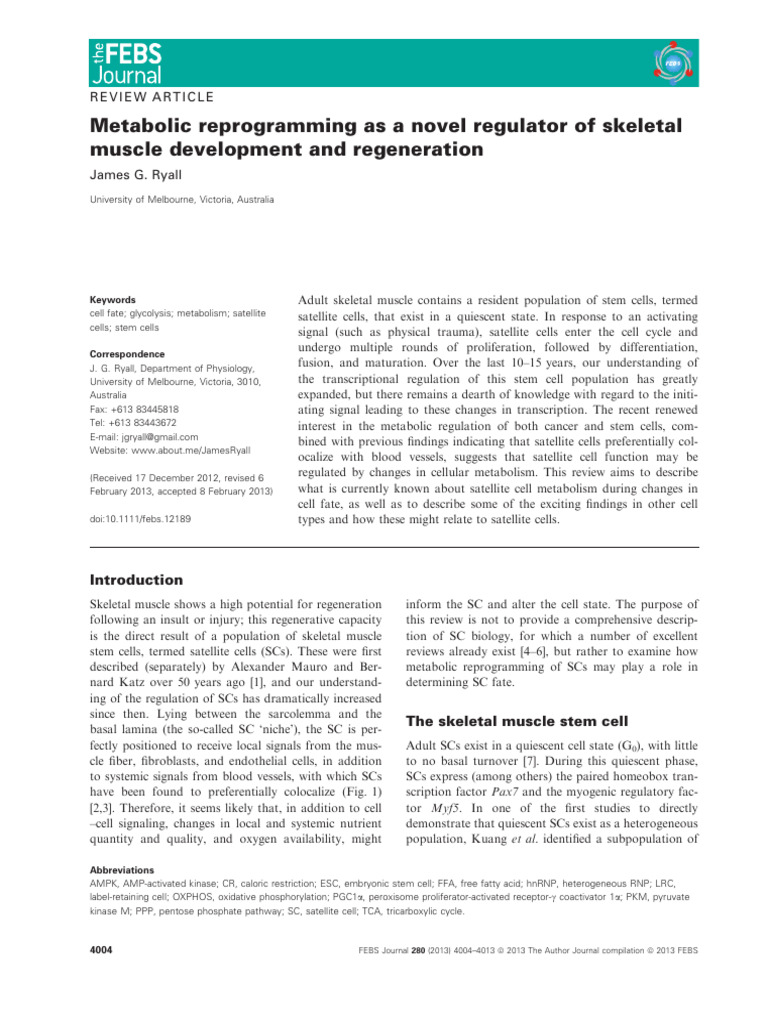 Metabolic Reprogramming As A Novel Regulator of Skeletal Muscle ...